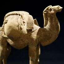 ה"פוחלין" - שק האוכף - הפך ל"פוחלץ". פסל של גמל, סין, המאה השמינית. | גטי אימג'ס