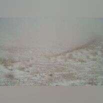 שלג ראשון בחרמון, נובמבר 24'. | מצלמות אתר החרמון