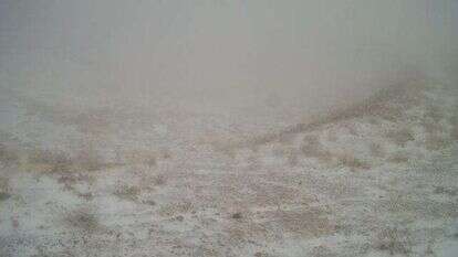 שלג ראשון בחרמון, נובמבר 24'. | מצלמות אתר החרמון