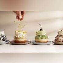 רולדין קולקציית סופגניות 2024. | רונן מנגן