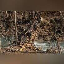 לוחמי שלדג בליטאני. | דובר צה"ל