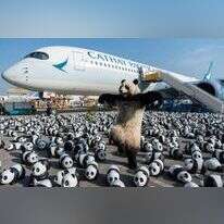 קמע פנדה אנושי באמצע ים של אלפי פסלי פנדה בשדה התעופה בהונג קונג. | AP Photo/Chan Long Hei