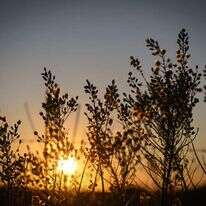 זריחה בגולן. | מיכאל גלעדי - פלאש 90