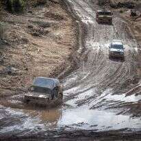 האמרים בדרום לבנון. | חיים גולדברג - פלאש 90