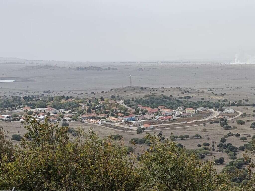 אלוני הבשן ברקע הקרבות. | יהושע מוסקוביץ' אלוני הבשן ברקע הקרבות. | יהושע מוסקוביץ'
