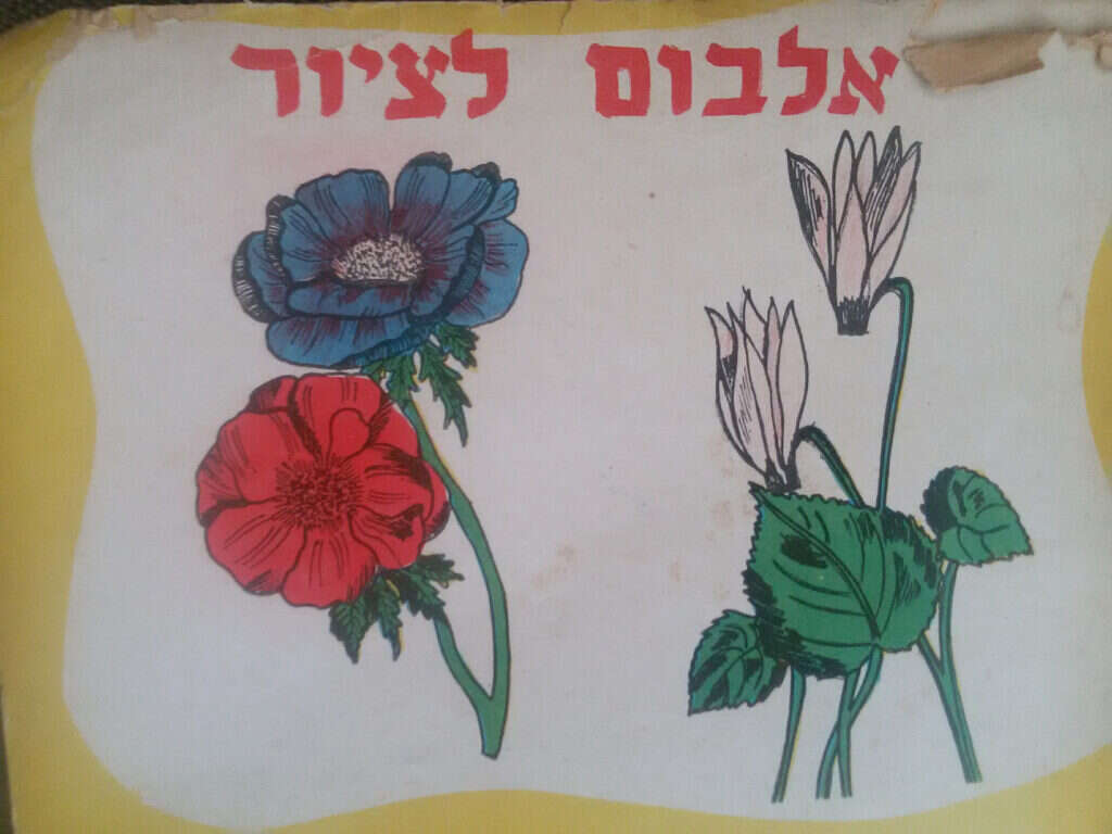 באדיבות המרואיינת באדיבות המרואיינת