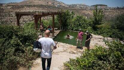 עינות ענר. | הדס פרוש, פלאש 90