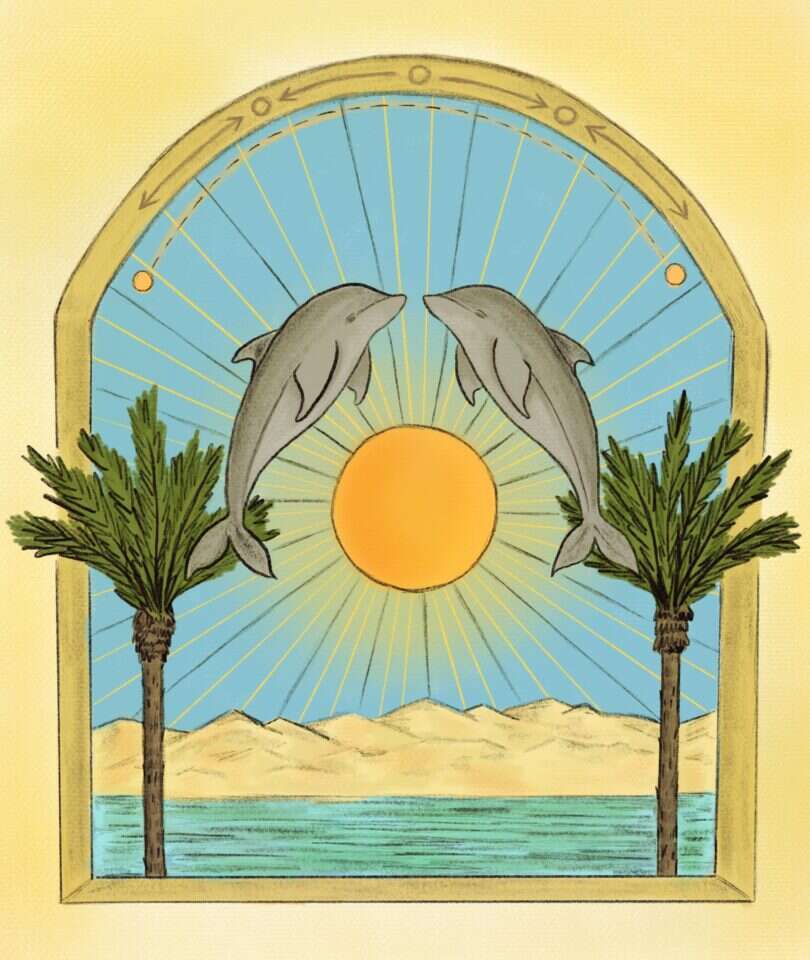 איור: שרון ארדיטי