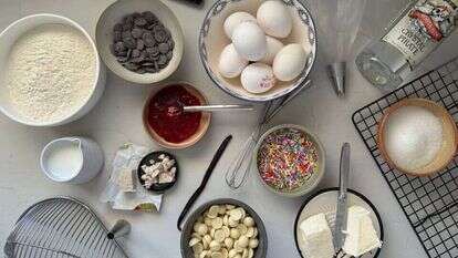 תימור לוי–יוטקוביץ