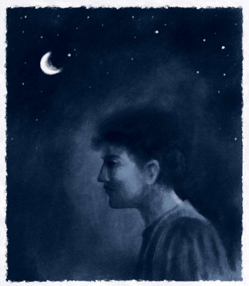 איור: מנחם הלברשטט