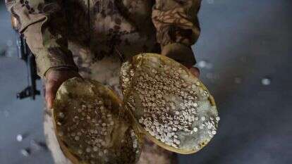 טבליות של סם הקפטגון שהוחבאו בתוך פירות מזויפים, במפעל לייצור הסם מזרחית לדמשק. | EPA