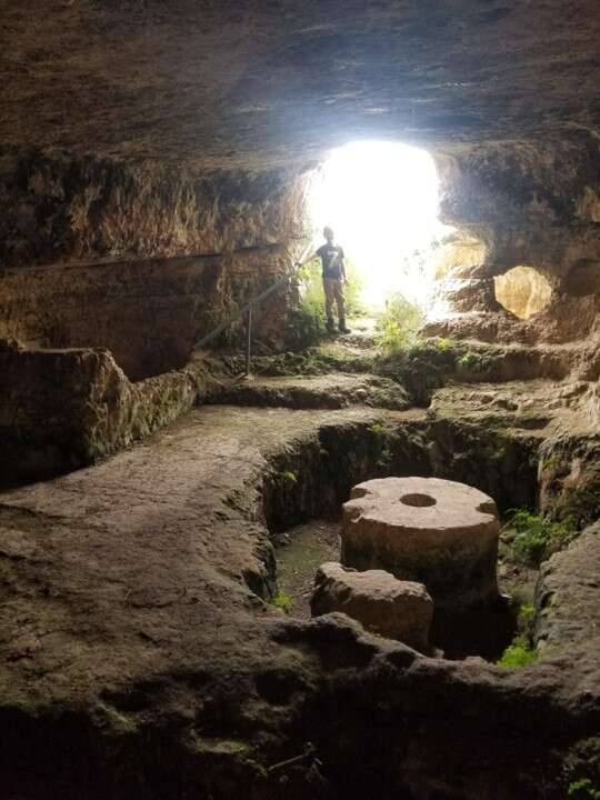 מערת בית בד בחרבת נסיה, פסגות. | עומרי עבאדי