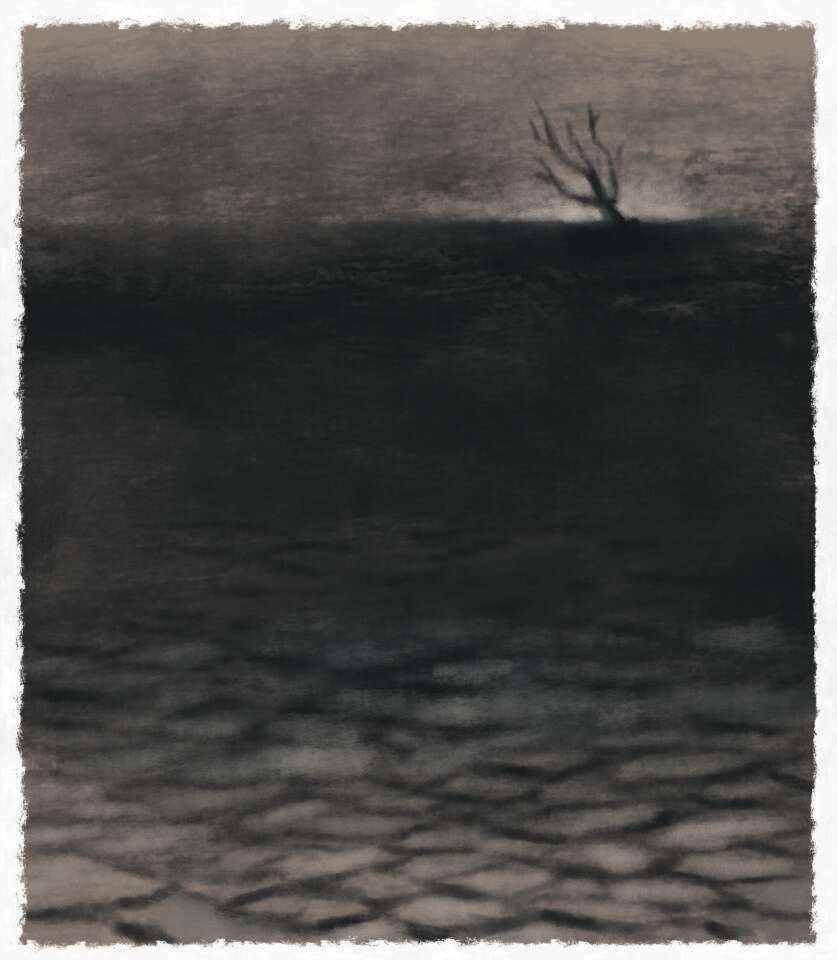 איור: מנחם הלברשטט