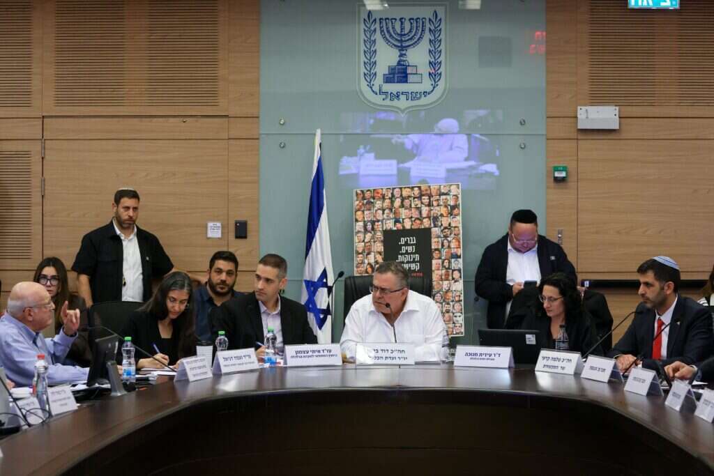 דיון בוועדת הכלכלה | דוברות הכנסת, נועם מושקוביץ