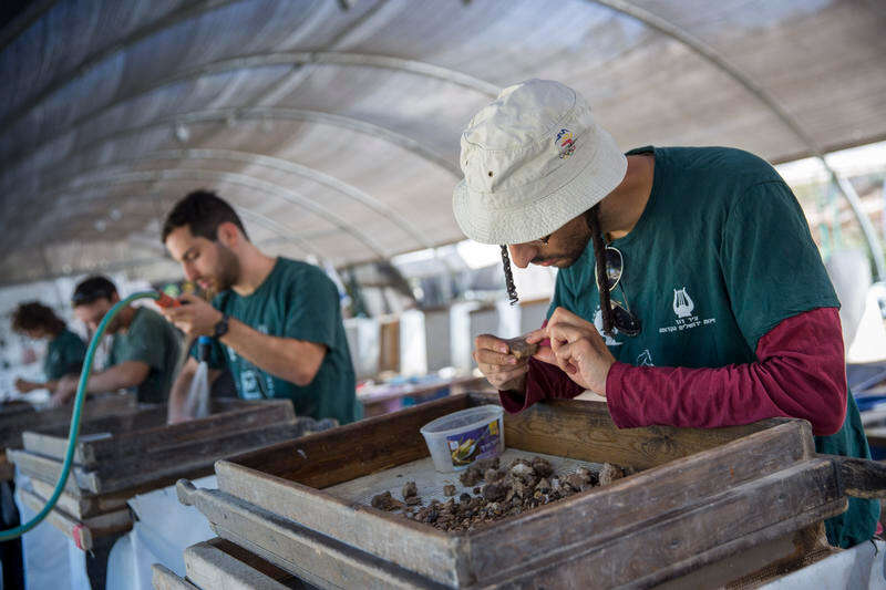 שיטת הסינון כוללת שטיפה של אפר החורבן. מסננים עפר בעמק צורים. | מרים אלסטר, פלאש 90