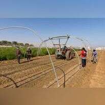 לירון מולדובן