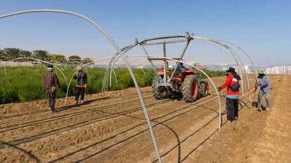 לירון מולדובן