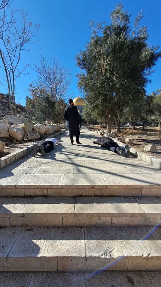 אבסורד משפטי. משתחווים בהר הבית. | ארנון סגל