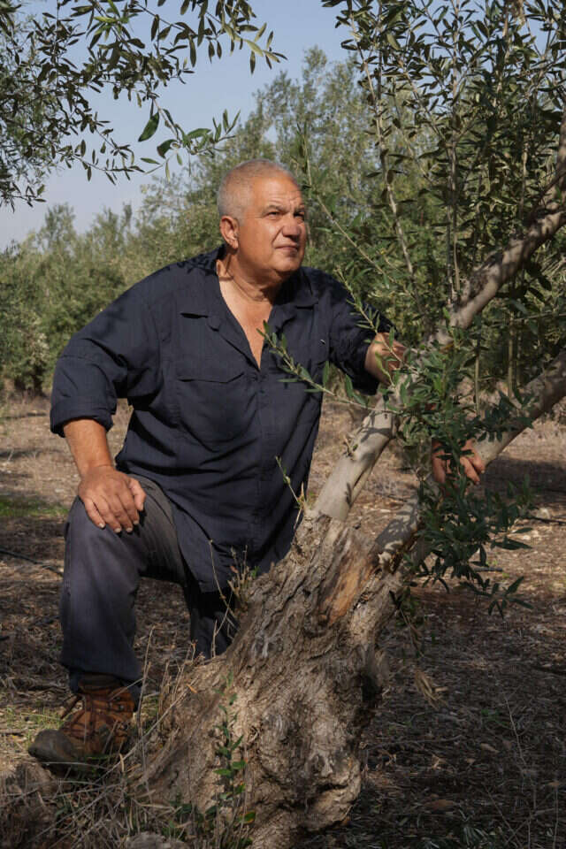 אייל מרגולין - ג׳יני