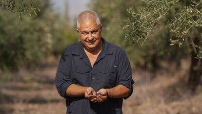 אייל מרגולין - ג׳יני