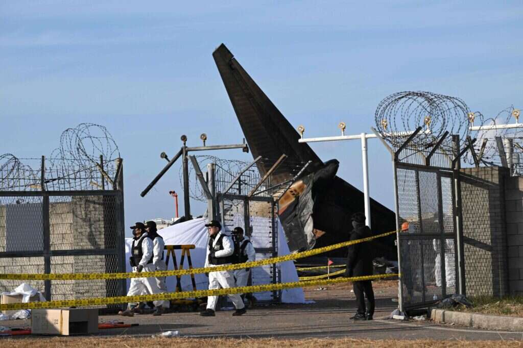המטוס לאחר ההתרסקות. קרדיט: AFP