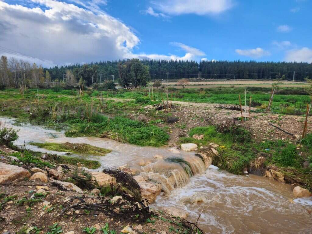 זרימות בנחל ציפורי, בשטח הגן הלאומי. | דניאל הייטנר רשות הטבע והגנים