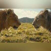 באדיבות פורום פילם