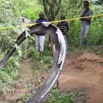 פסולת החלל. | מסך מיוטיוב