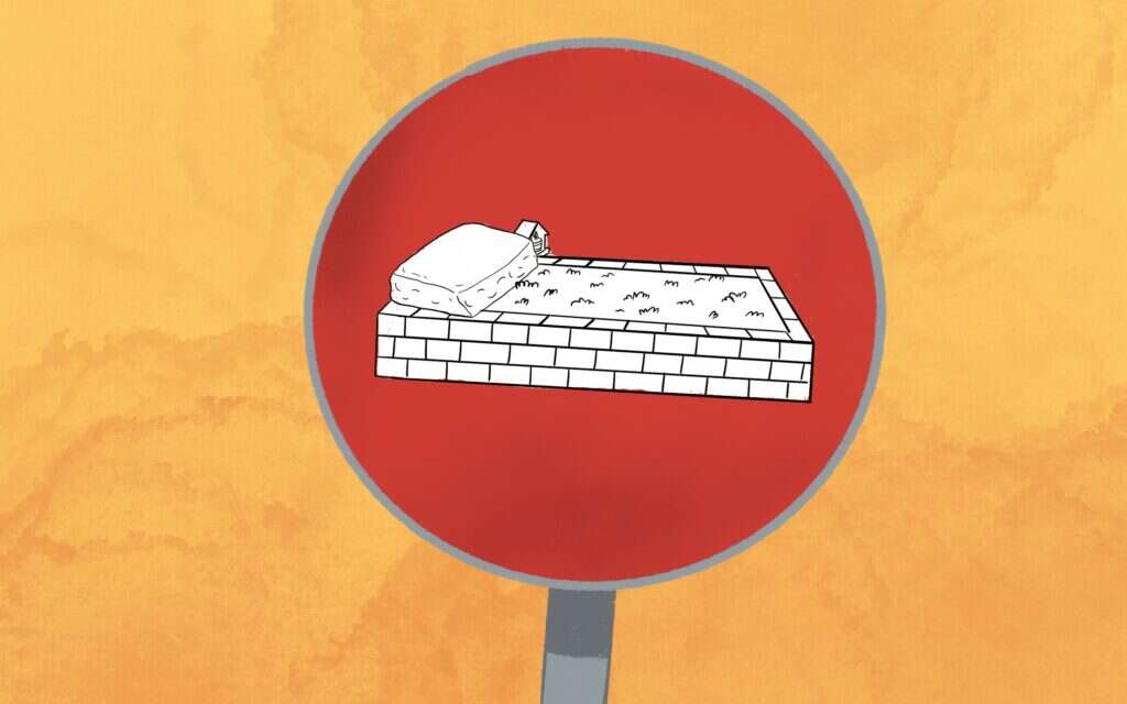 איור: רעות בורץ