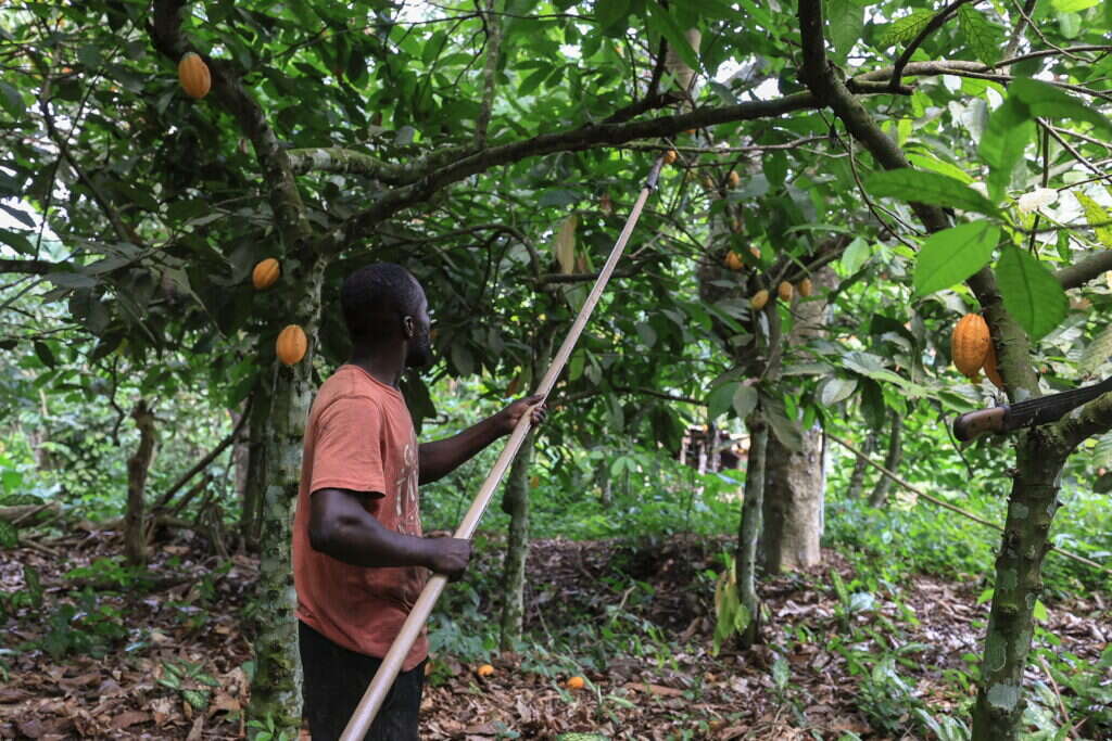 איי.אף.פי איי.אף.פי