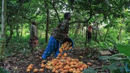איי.אף.פי איי.אף.פי