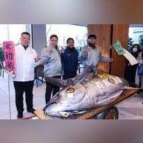 דג הטונה שנמכר ב-1.3 מיליון דולר. | AFP