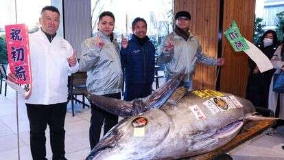 דג הטונה שנמכר ב-1.3 מיליון דולר. | AFP