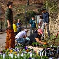 מתנדבים במטולה, בשבוע שעבר. למצולמים אין קשר לכתבה. | יוסי זמיר, פלאש 90