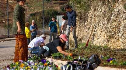 מתנדבים במטולה, בשבוע שעבר. למצולמים אין קשר לכתבה. | יוסי זמיר, פלאש 90 מתנדבים במטולה, בשבוע שעבר. למצולמים אין קשר לכתבה. | יוסי זמיר, פלאש 90