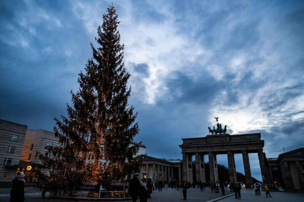 אשוח בגרמניה. | AFP