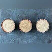 עֹז תלם עֹז תלם