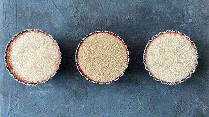 עֹז תלם עֹז תלם