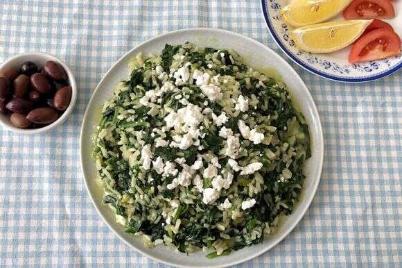 ספנקוריזו. | עֹז תלם