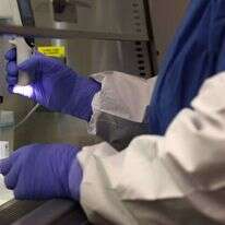 בדיקות מעבדה. | Getty Images via AF בדיקות מעבדה. | Getty Images via AF