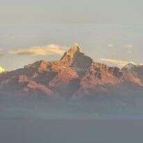 מיכאל טוכפלד