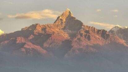 מיכאל טוכפלד