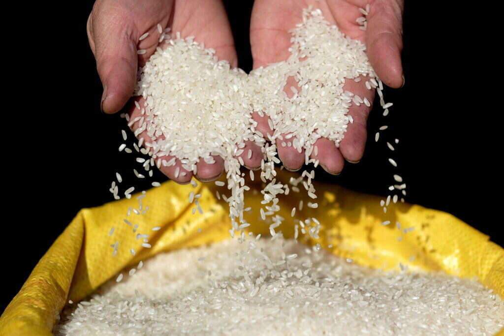 מוכר אורז בוויאטנם, אילוסטרציה. | EPA