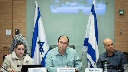 ח"כ שמחה רוטמן בוועדת החוקה של הכנסת. | חיים גולדברג, פלאש 90