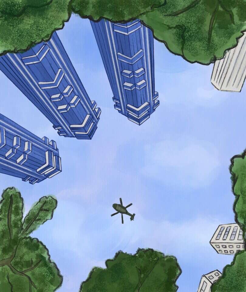 איור: שרון ארדיטי