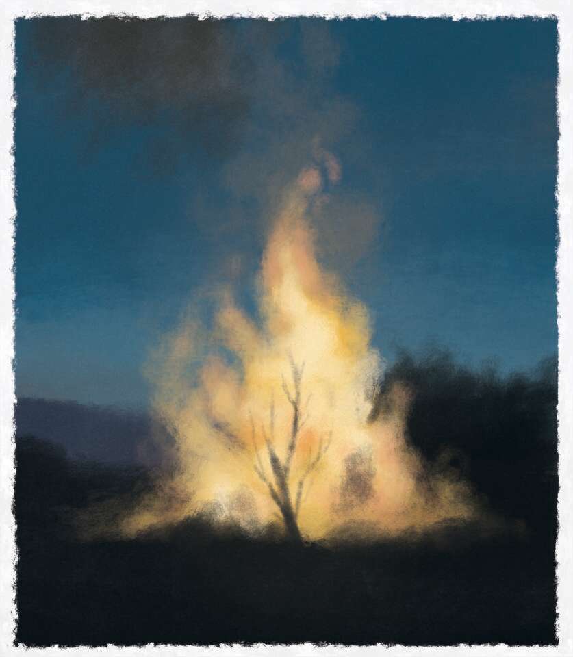 איור: מנחם הלברשטט