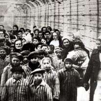 "אנחנו עוד לא מסוגלים לזקק מהשואה מסר אחד". ילדים ניצולי אושוויץ לאחר שחרור המחנה, פברואר 1945. | גטי אימג'ס