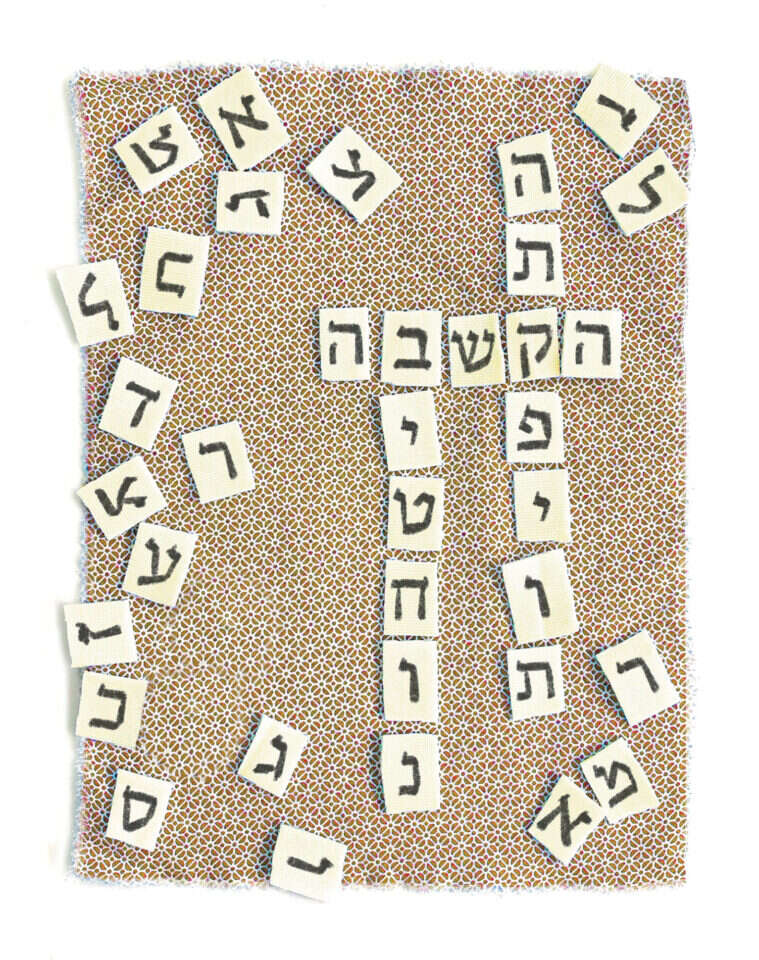 איור: אפרת קדרי איור: אפרת קדרי