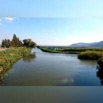 מבט מגשר הכניסה לאגמון אל מורד התעלה המערבית. | רשות ניקוז ונחלים כינרת