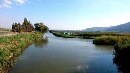 מבט מגשר הכניסה לאגמון אל מורד התעלה המערבית. | רשות ניקוז ונחלים כינרת